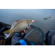 Wafters Sonubaits Micro Band'um Wafter - Power Scopex, 30g Wafters Sonubaits Micro Band'um Wafter - Power Scopex, 30g